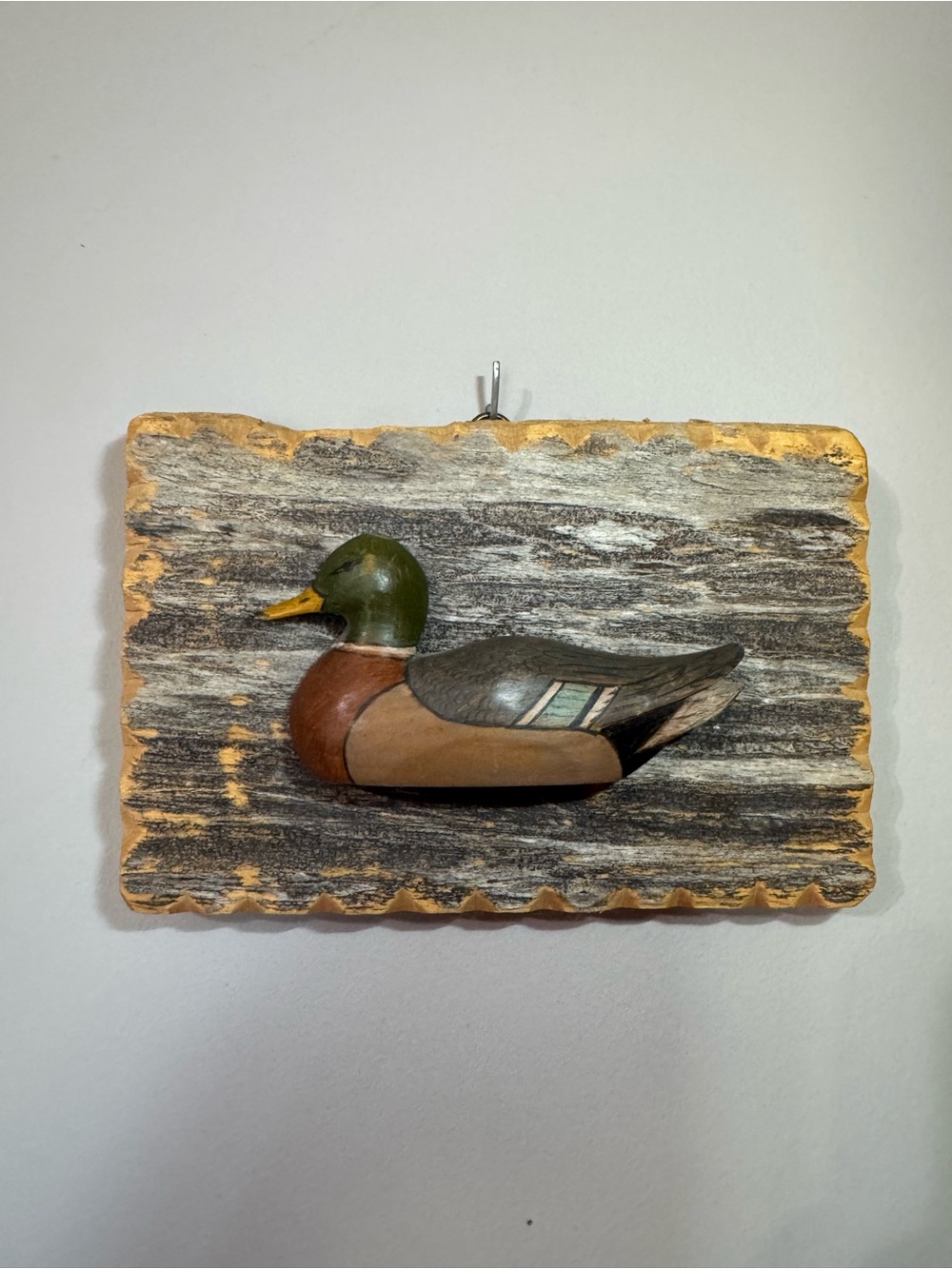 Carved Mallard Duck Wall Plaque in Green and Brown